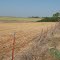 Near Buffalo, OK
