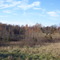 Private farm land