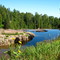 Placid waters