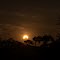 Solar Eclipse
