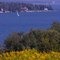Frenchman Bay