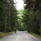 Cycling towards the Sargent, June 2009