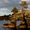 Hidden treasure...Salisbury Cove