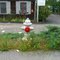Hydrants are so cool