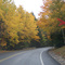 Fall colors