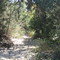 Lewis Creek