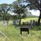 Schlather Cemetery