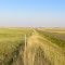 Alongside U.S. Hwy. 12, looking west toward Baker, Montana
