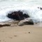 Mohegan Beach