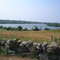Fresh Pond