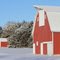 Family Resemblance! Barn # Nine