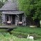 Wayne's Cabin. Spring.