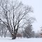 Winter Park