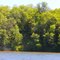 Lake Bemidji