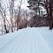 Minnesota in Winter