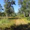 Bemidji State Park