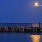 Full Moon Night