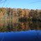 Fall Reflections