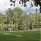 cypress pond, Saturn road, Hernando County, Florida (9-4-2002)