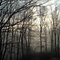 Dawn on Piney Creek Gorge, East Beckley, WV