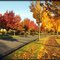Autumn Sunday