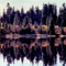 Autumn Reflection - Nyack Lake on I80 East near Donner, CA (suz)