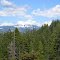 California Rt. 20 View