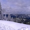 Fresh Snow