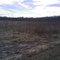 Silver Creek Preserve