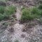 Silver Creek Preserve - A very annoyed snake