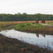Silver Creek Preserve