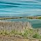 Bear River Drainage