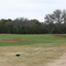 Delaware Springs #11