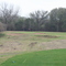 Delaware Springs #16