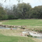 Delaware Springs #1