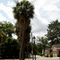 Street View at Barnwell SC