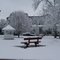 Darnell Park