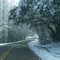Wellington Road to Lake Edgar Brown