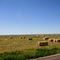 Hay Bales...
