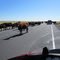 Heavy Traffic