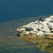 Comanche Trail Park of BIG SPRING,Tx