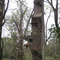The Oxnard Ruins