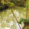 Clear Creek at 1776 Park