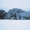 A Christmas Snow