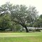 St. Simons I. GA