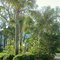 St. Simons I. GA