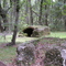 Burying Grounds, Fort Frederica, St. Simons Island, Ga
