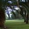 #15 Sea Palms Golf And Tennis Resort, St. Simons, Ga  7-10-2010