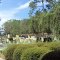 Rest Area #105 off I-95.Glynn County