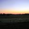 Percilla Dawning
